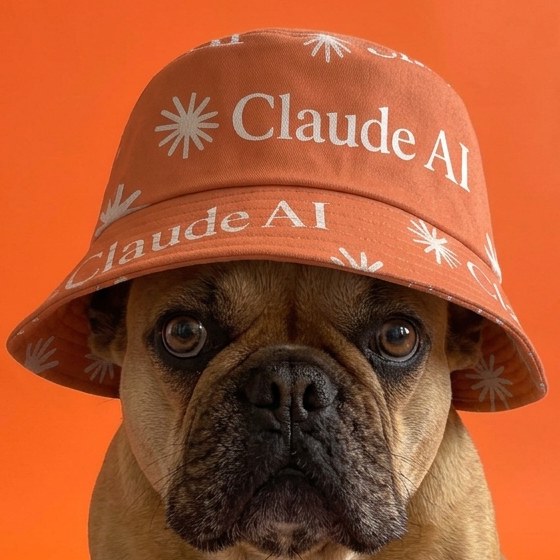 Close-up of the bucket hat on the bulldog's head
